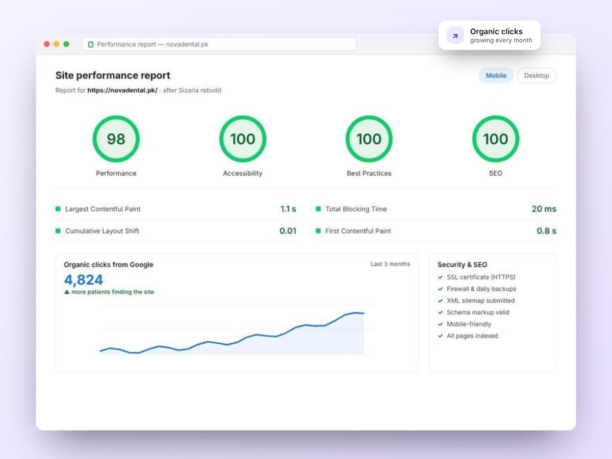 SEO growth campaign for an online retailer